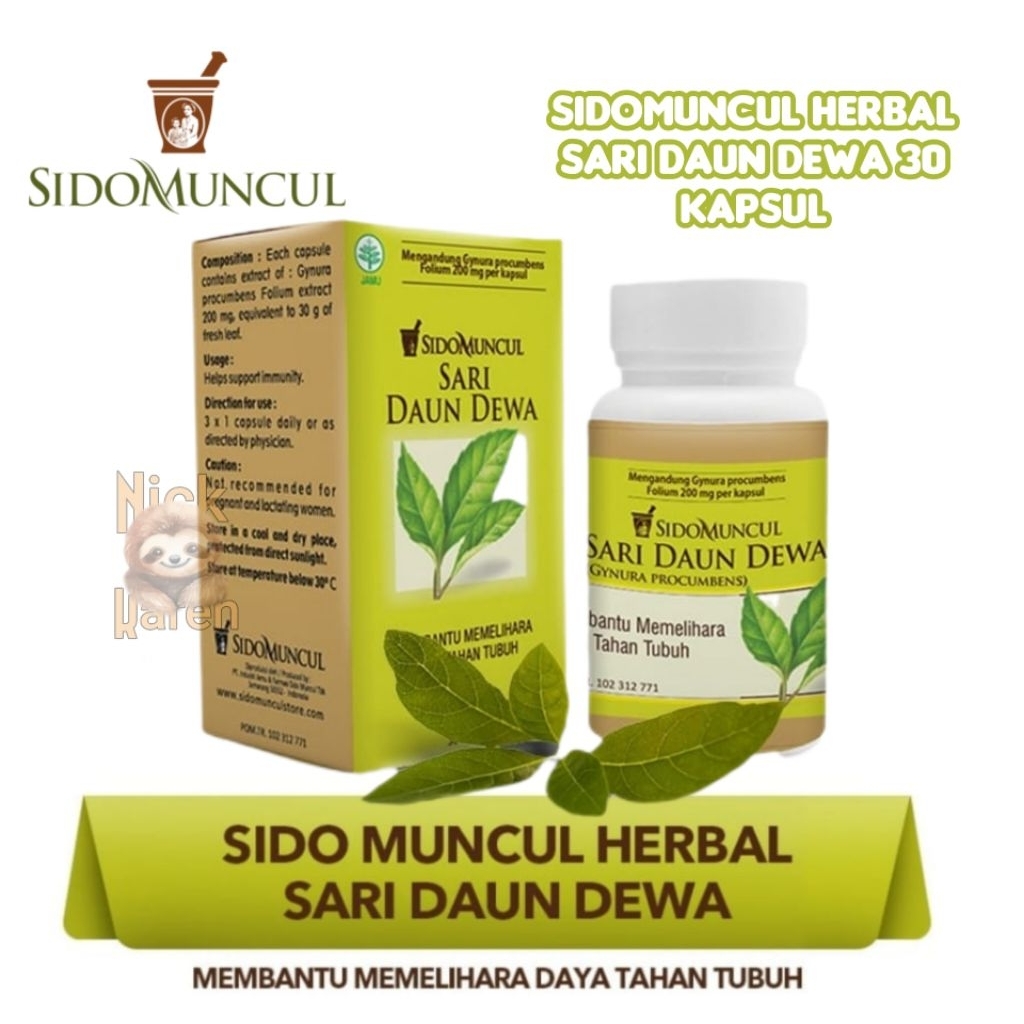 Sidomuncul Herbal Sari daun dewa 30 kapsul