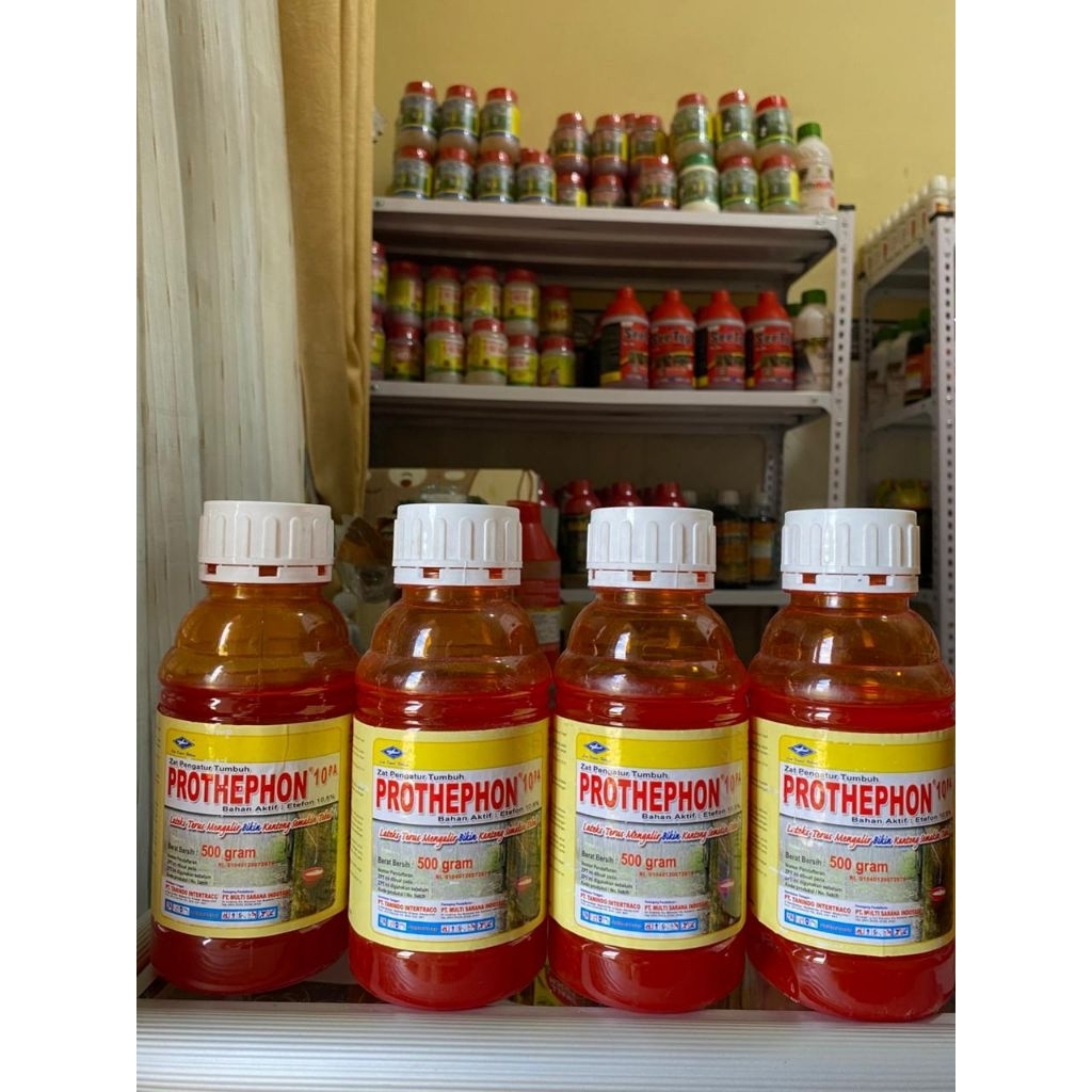 PROTHEPHON 10PA ZPT KARET