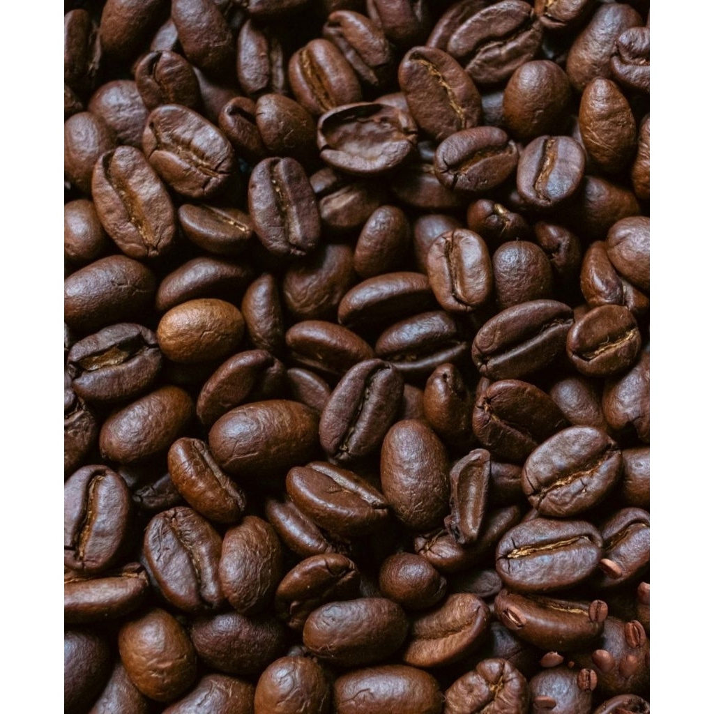 Kopi Robusta Aceh Gayo Takengon 1kg - G1