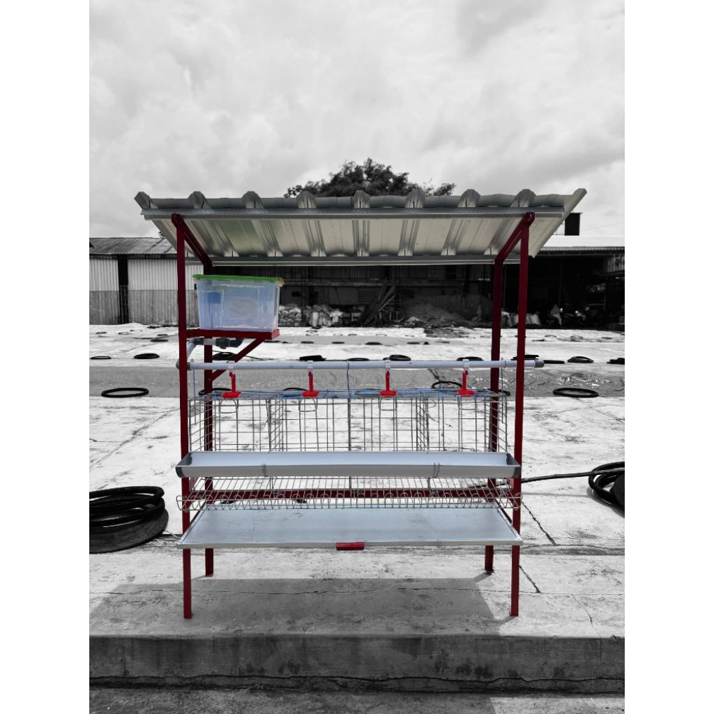 kandang ayam petelur full set