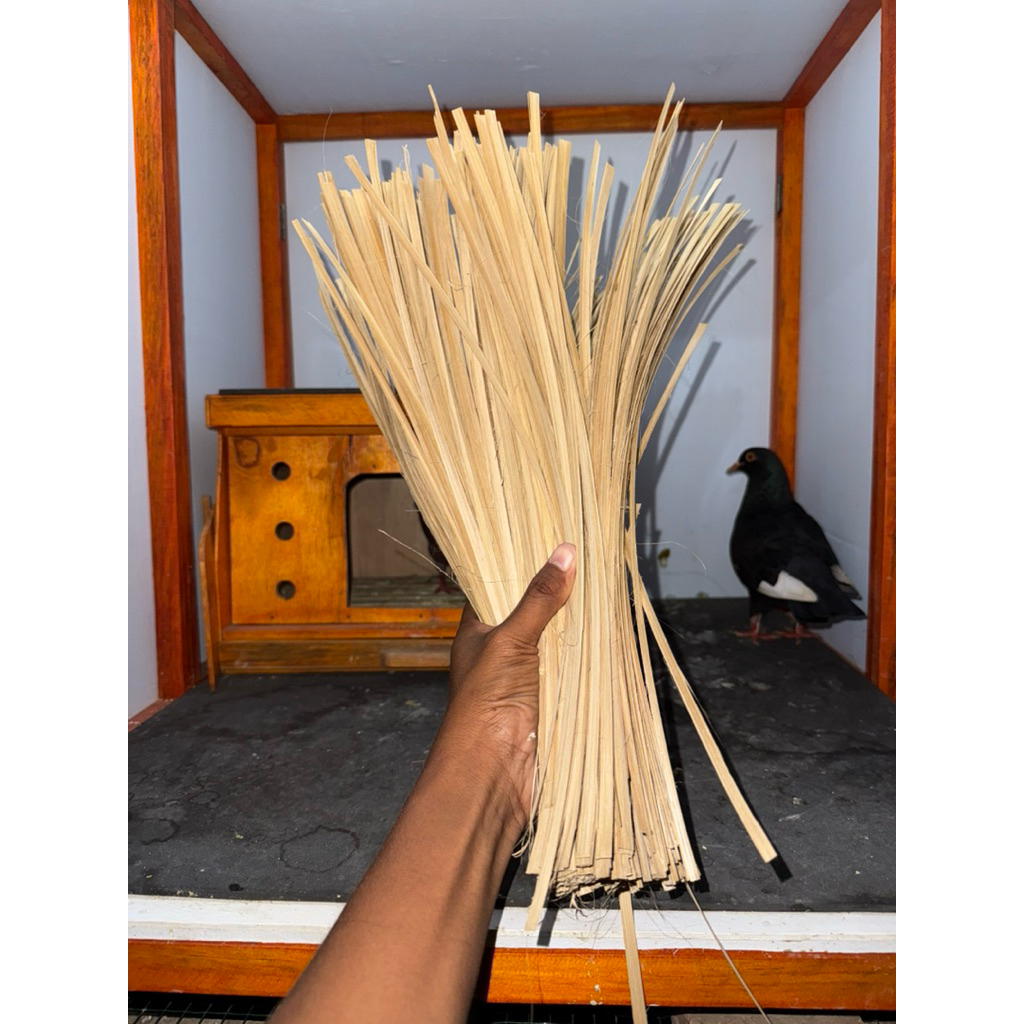 Sarang bambu merpati 250 g / Sarang Burung Merpati / Sarang Burung