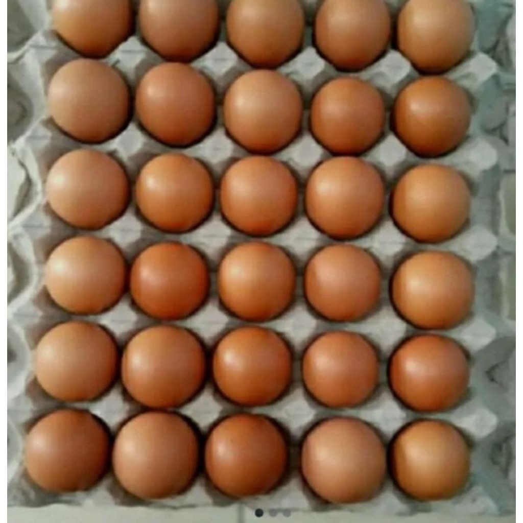 Telur ayam ras 1 Rak