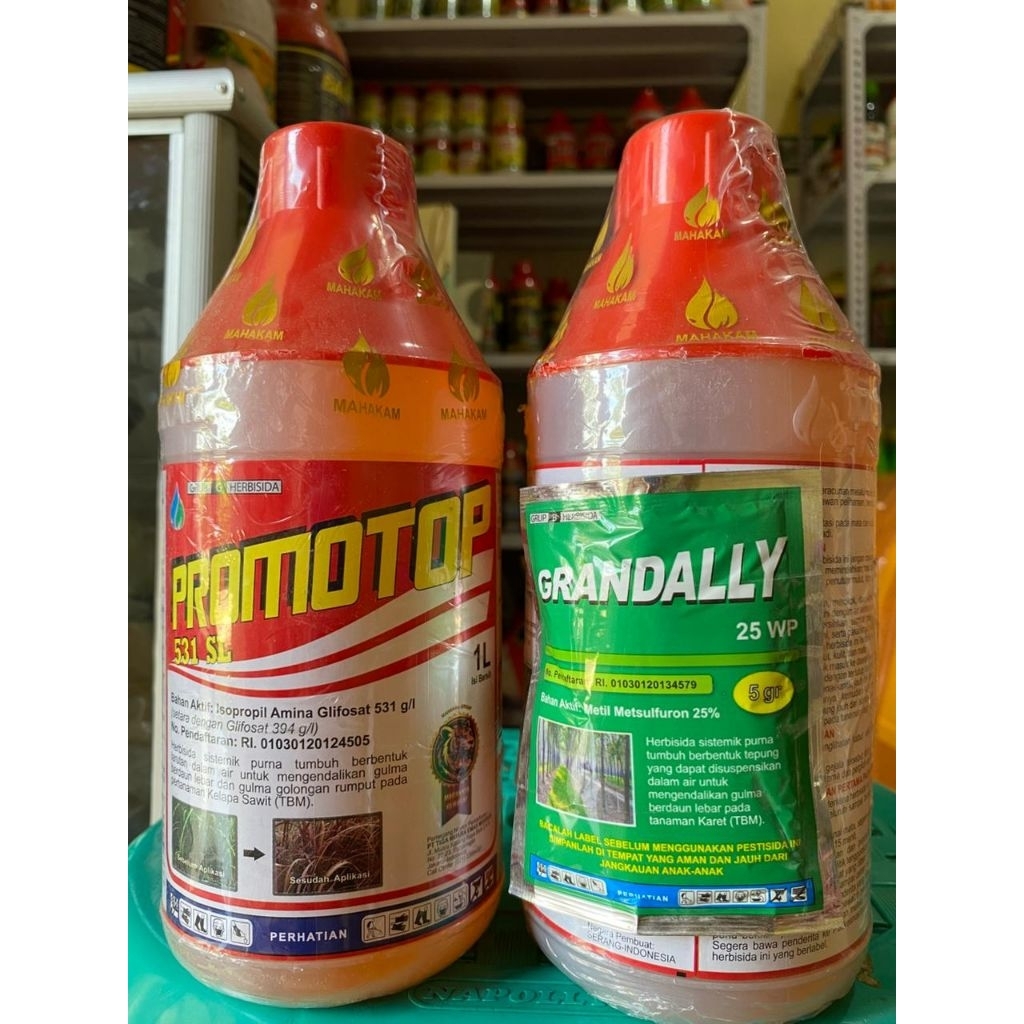 PROMOTOP 531 SL FREE GRANDALLY