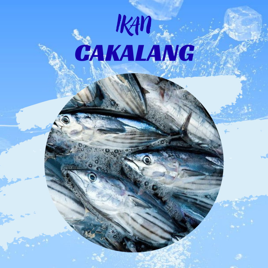 Ikan Cakalang Premium Ikan Laut Segar