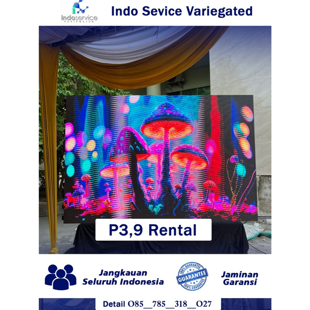 Videotron P3,9 Rental || High Quality