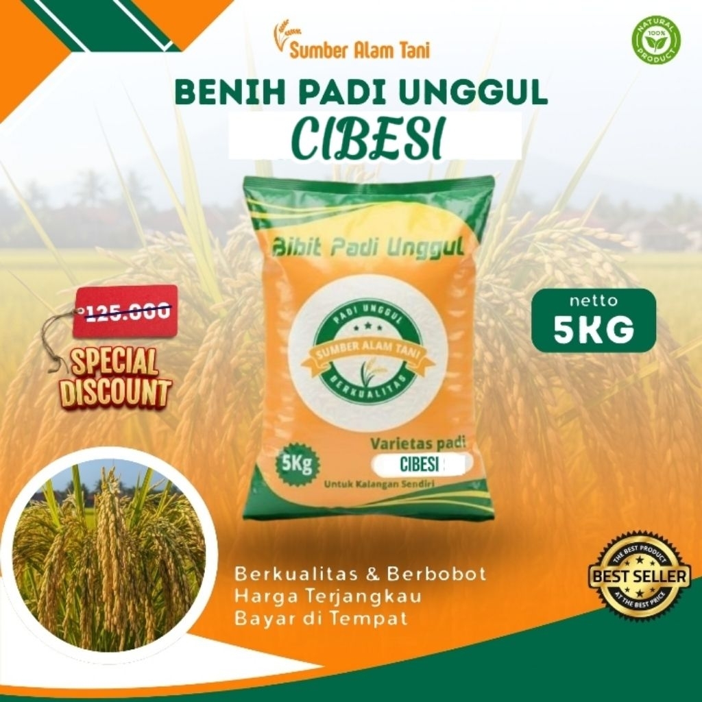 Bibit Padi Cibesi kemasan 5kg