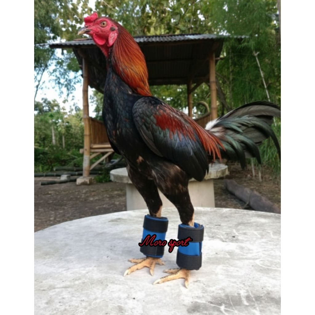 BARBEL AYAM BANGKOK 500 GRAM BARBEL AYAM BANGKOK