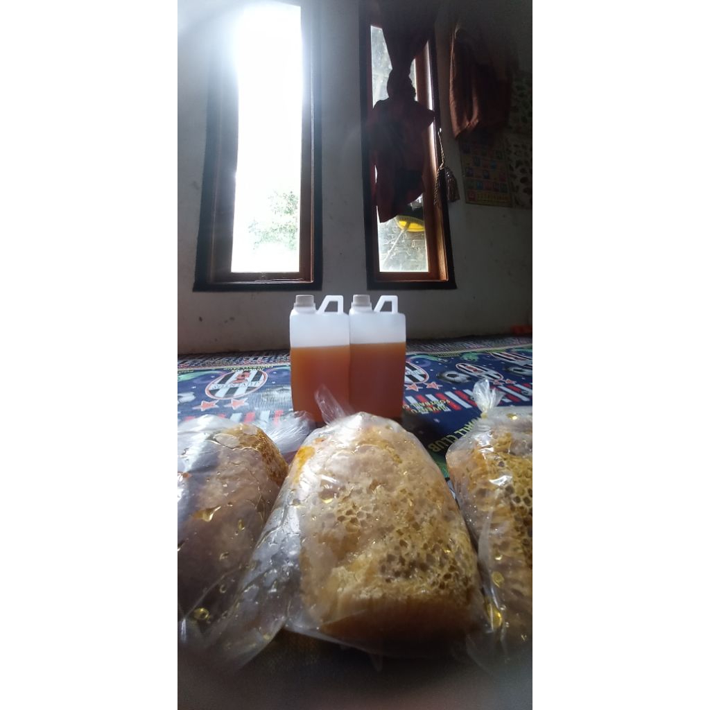 madu hutan liar/odeng jawabarat madu sarang
