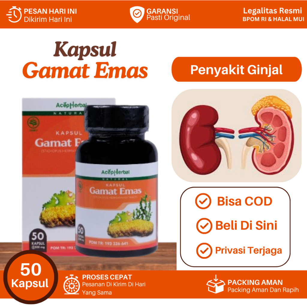 Obat Ginjal, Ginjal Rusak, Ginjal Bermasalah, Infeksi Pada Ginjal, Ginjal Bocor, Batu Ginjal, Gagal 