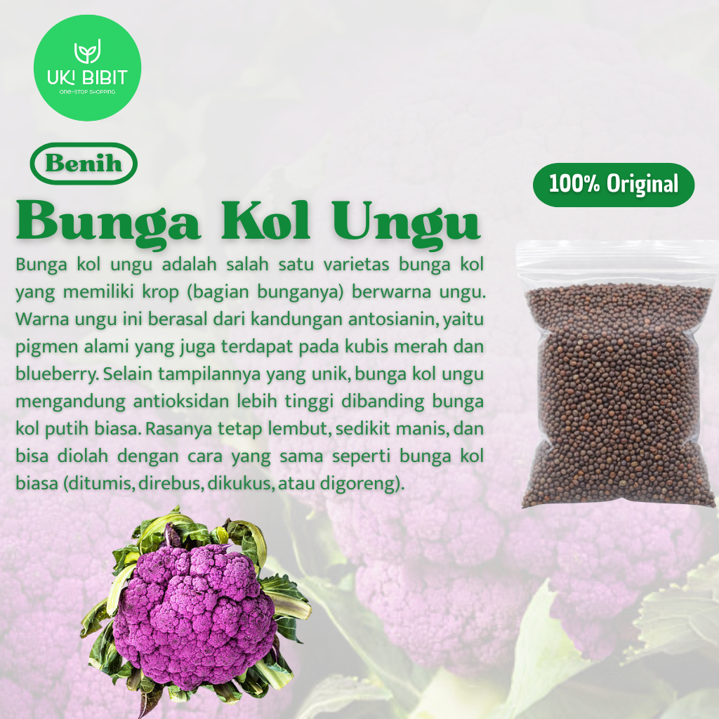 ( 5 Butir ) Benih Biji Bunga Kol Ungu | Kembang Kol Ungu | Kol Bunga
