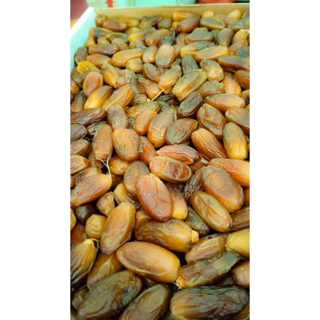 Kurma Tunisia / Algeria