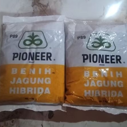 BENIH JAGUNG PIONEER P89 KEMASAN 1 KG
