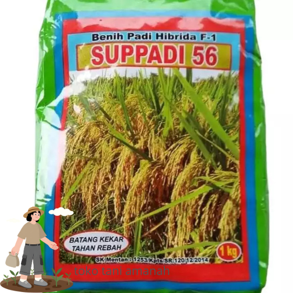 BENIH PADI HIBRIDA SUPADI 56 1KG