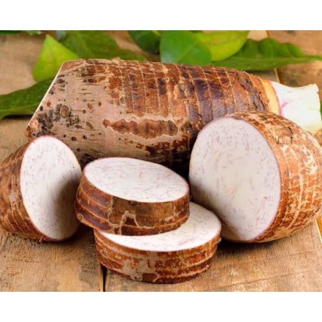 Fresh Mbote / Enthek / Ubi Talas 1kg / Mbote Enthik Talas 1kg Segar Dan Pulen Umbi Talas Gajah Kimpu