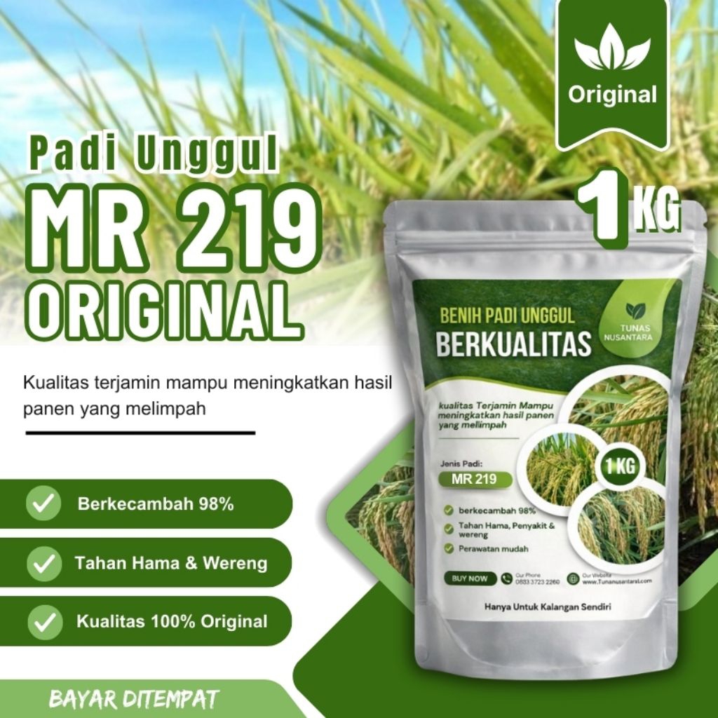 Benih padi unggu MR 219 kemasan 1kg original