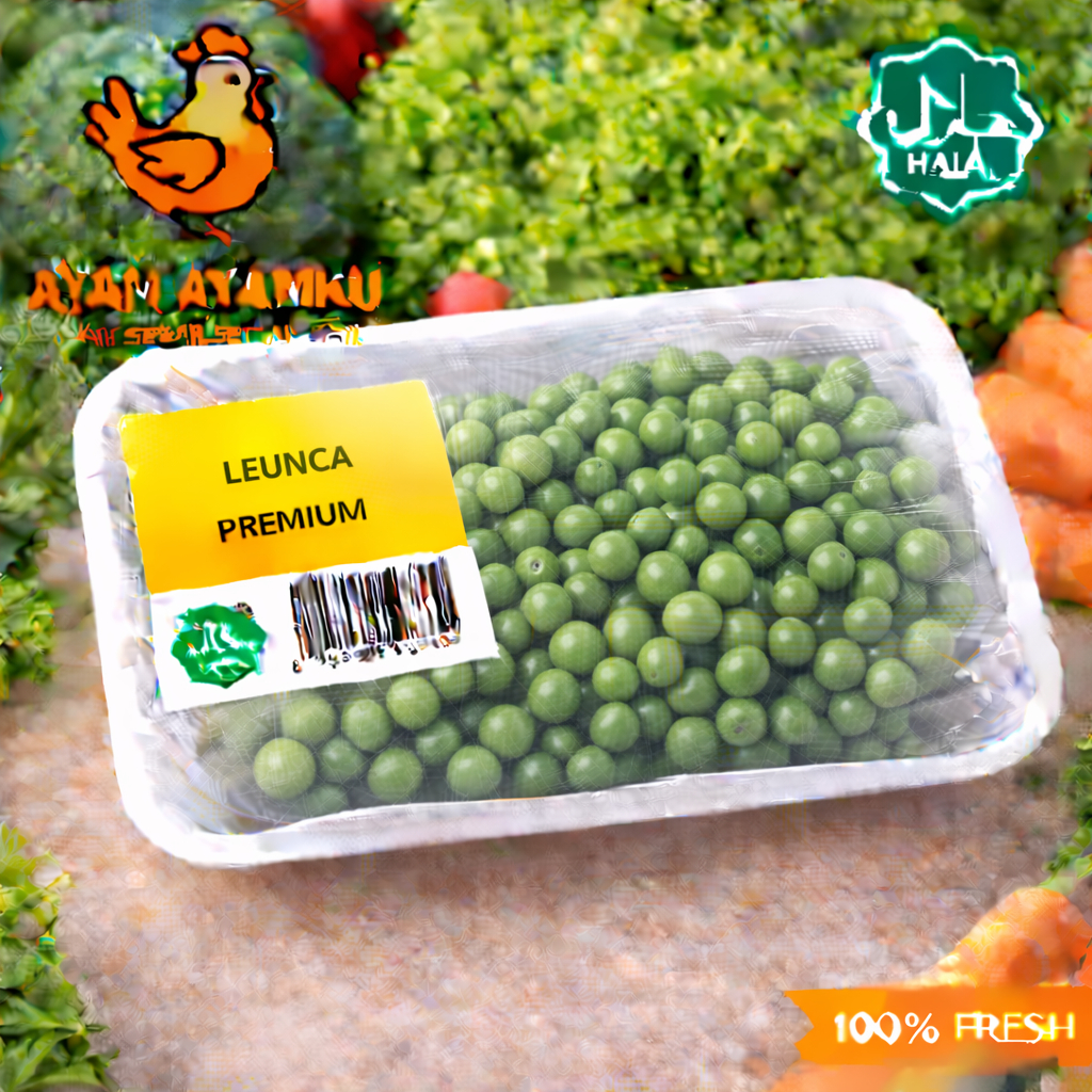 Leunca Segar pack | AYAM AYAMKU