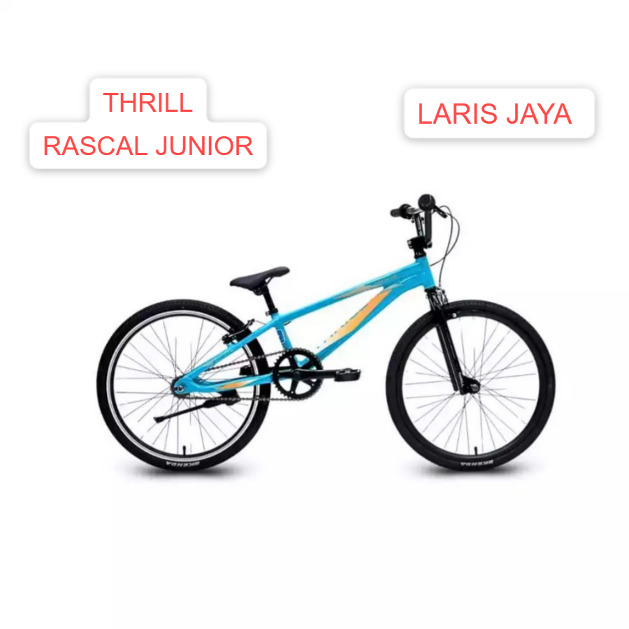 Sepeda Bmx 20 Inch Thrill Rascal Junior Ban Balap TERBARU