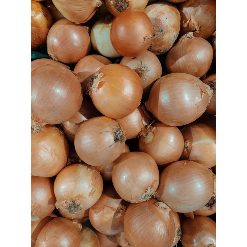 bawang bombay 1kg