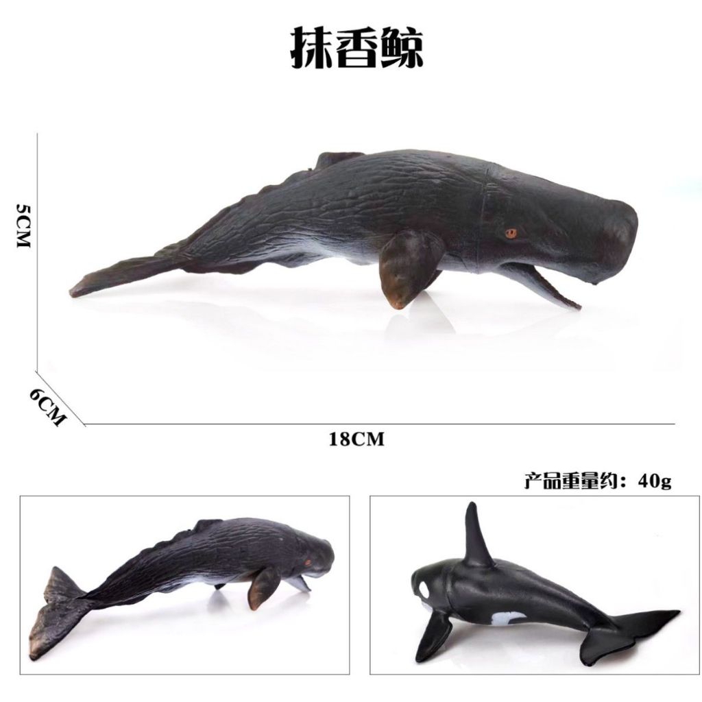 Mainan simulasi ikan Paus Sperma - miniatur ikan Paus Sperma - pajangan Paus Sperma - koleksi Paus S