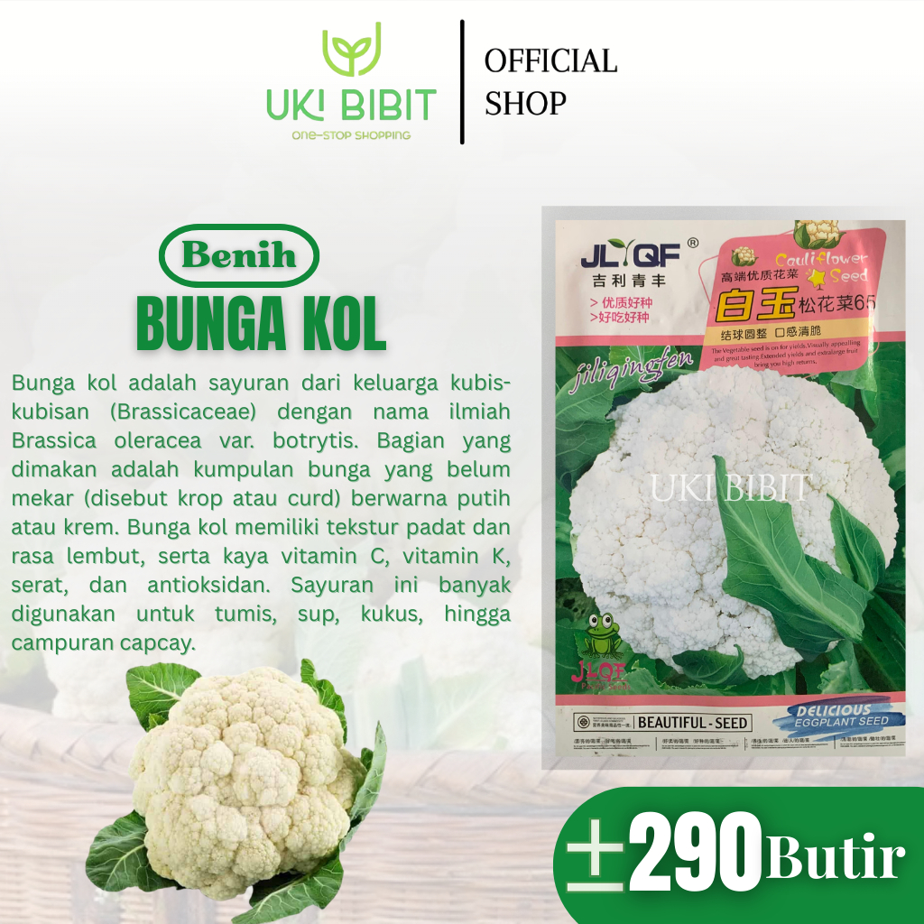 Kemasan Original | Benih Biji Bunga Kol | Kembang Kol | Kol Bunga