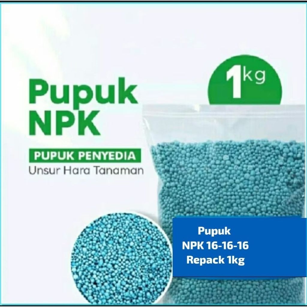 Pupuk NPK 16 Repack 1 kg