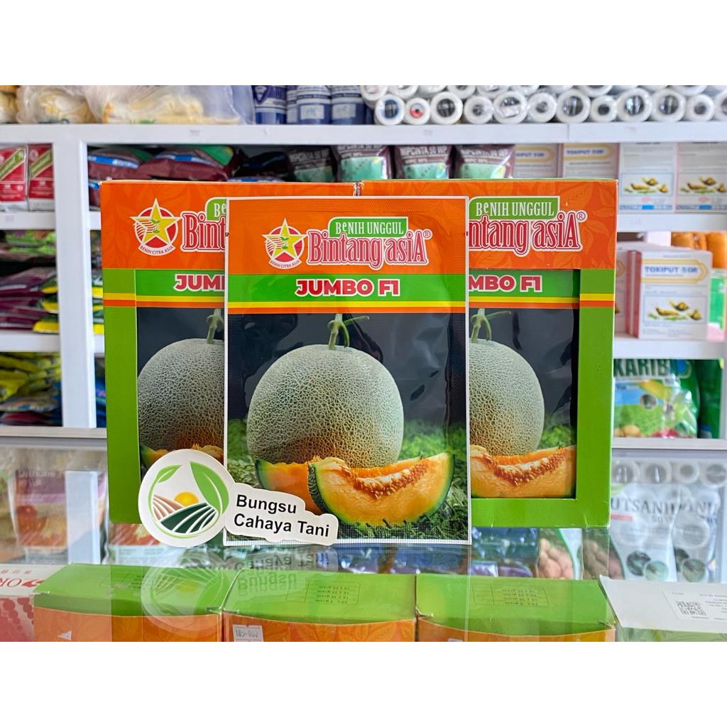 Benih Melon JUMBO F1 20gr Bintang Asia