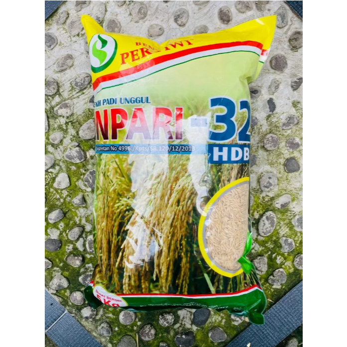 BIBIT - BENIH PADI INPARI 32 PERTIWI - 5 KG