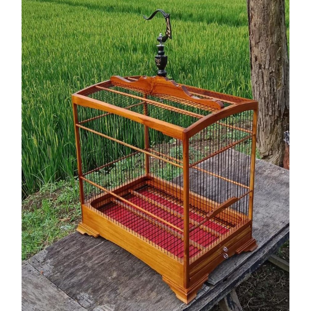 sangkar kenari sangkar burung kenari ukuran 30x45