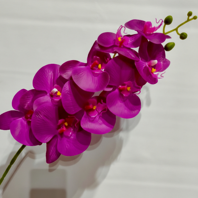 Bunga Anggrek Latex Premium Jumbo – Large Orchid