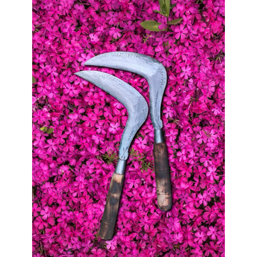 arit sabit rumput pengaritan baja isen