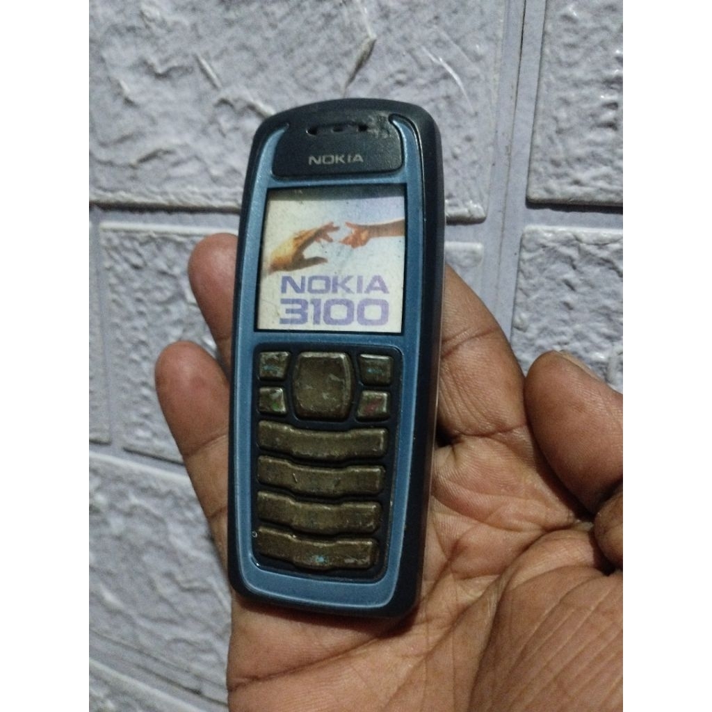 Dummy Nokia 3100 (second)