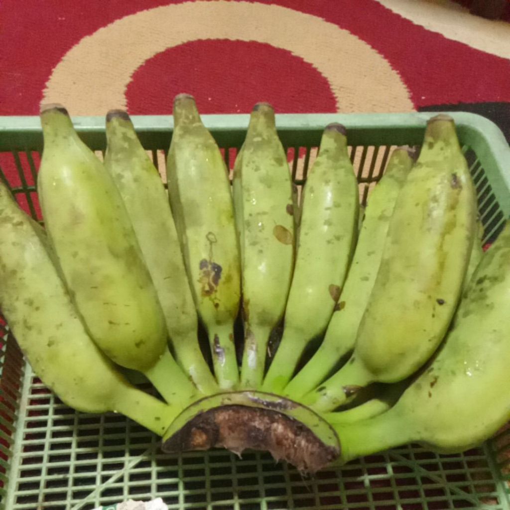 pisang siam mentah pisang selai