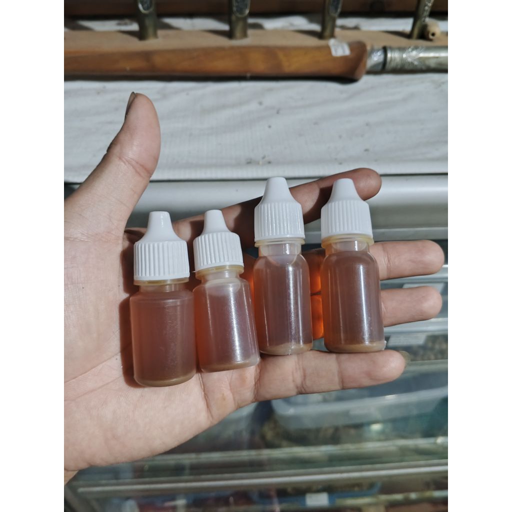 Minyak onta jrenk khusus lelaki