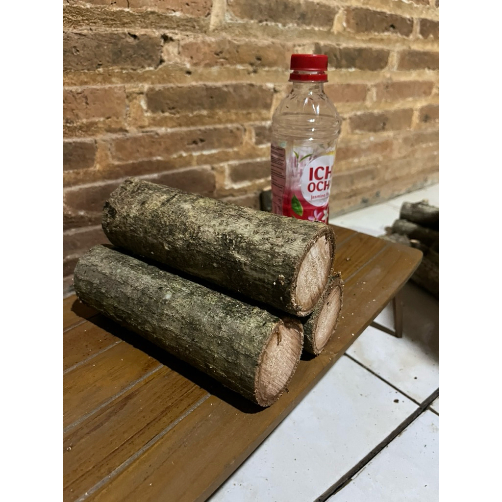 steak bibit waru India freshh