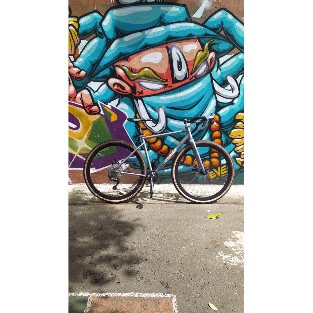 frameset GRAVEL special Brand MORANOBIK