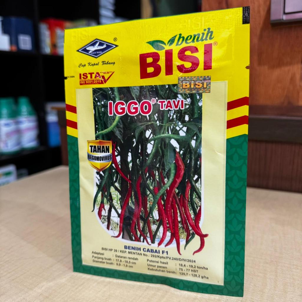 Benih cabe Iggo Tavi F1