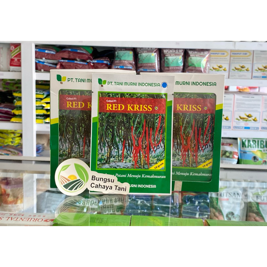 Benih Cabe Keriting RED KRISS 10gr Tani Murni Indonesia