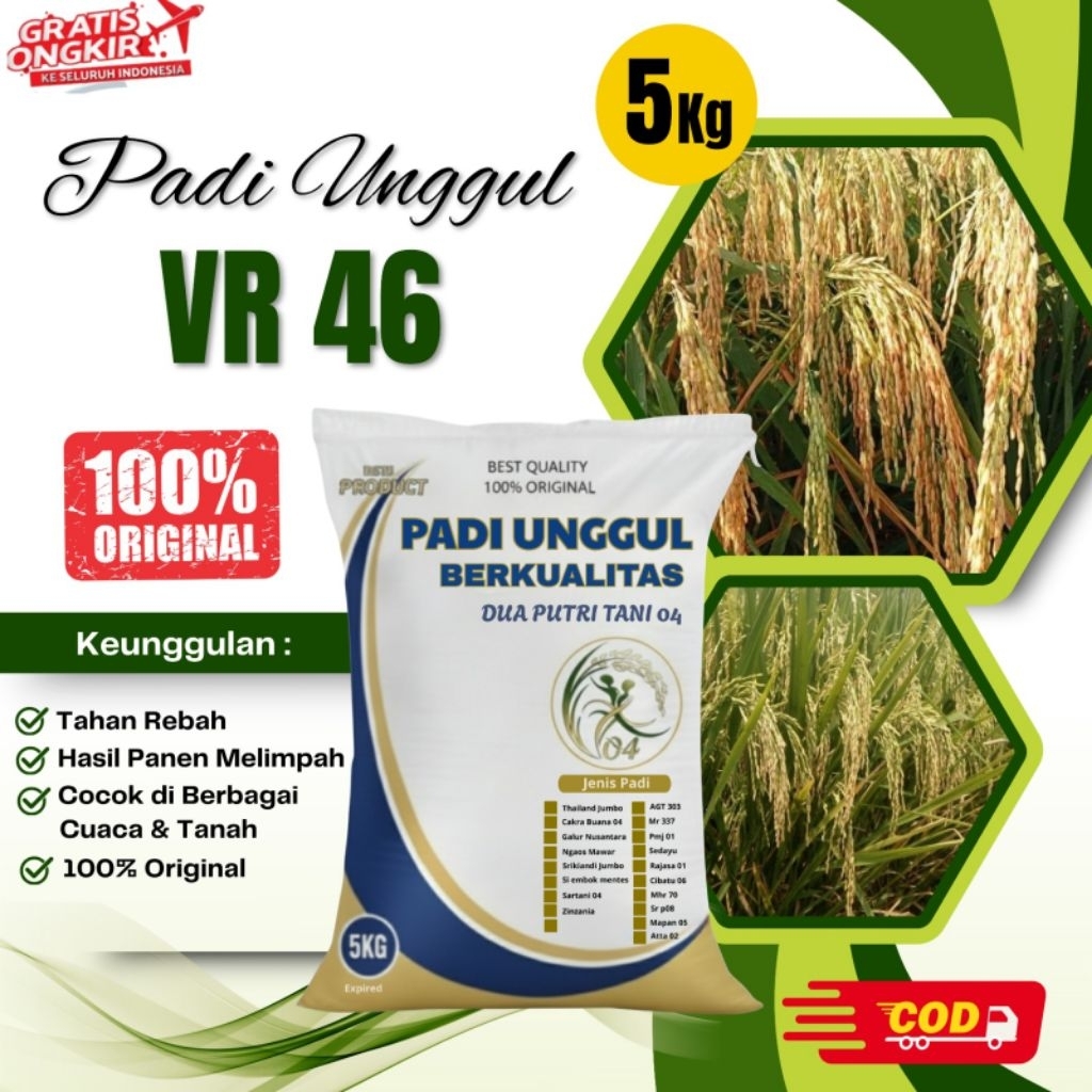 BIBIT PADI VR 46 BIBIT UNGGUL KEMASAN 5KG