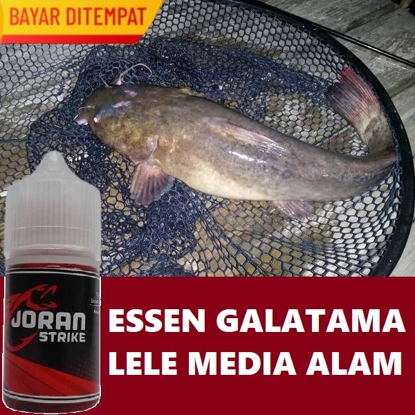ESSEN GALATAMA LELE MEDIA ALAM - ESSEN GALATAMA LELE UMPAN ALAM ISI 30ML