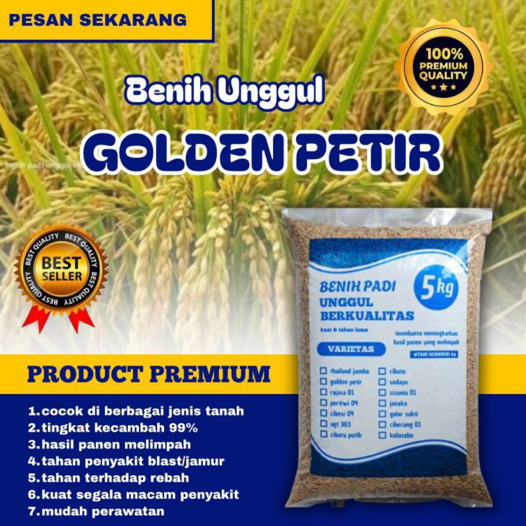 Benih padi GOLDEN PETIR  padi unggul berkualitas kemasan 5kg