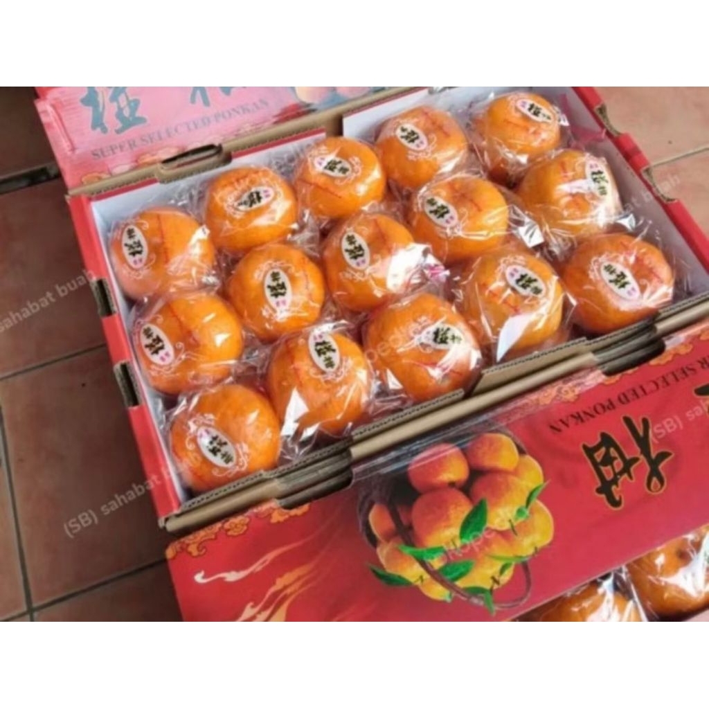 Buah JERUK PONKAM HDL GIFT PER DUS