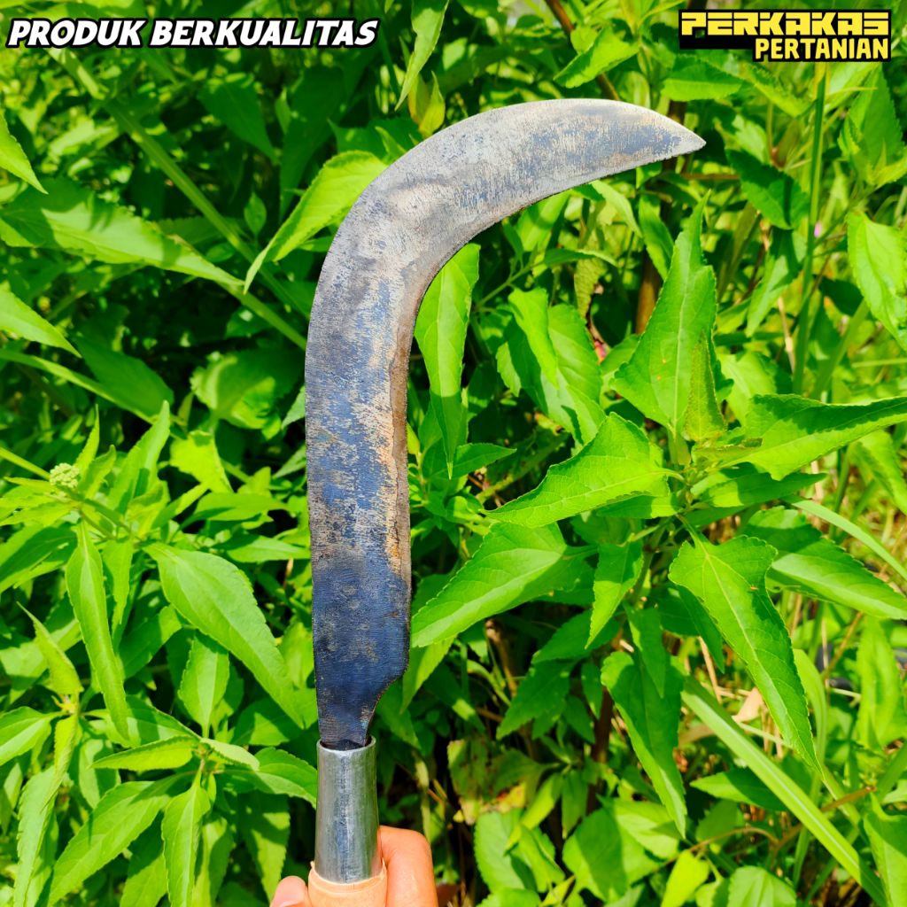 Candung untuk salak untuk keperluan serabutan dan panen salak bahan baja isen