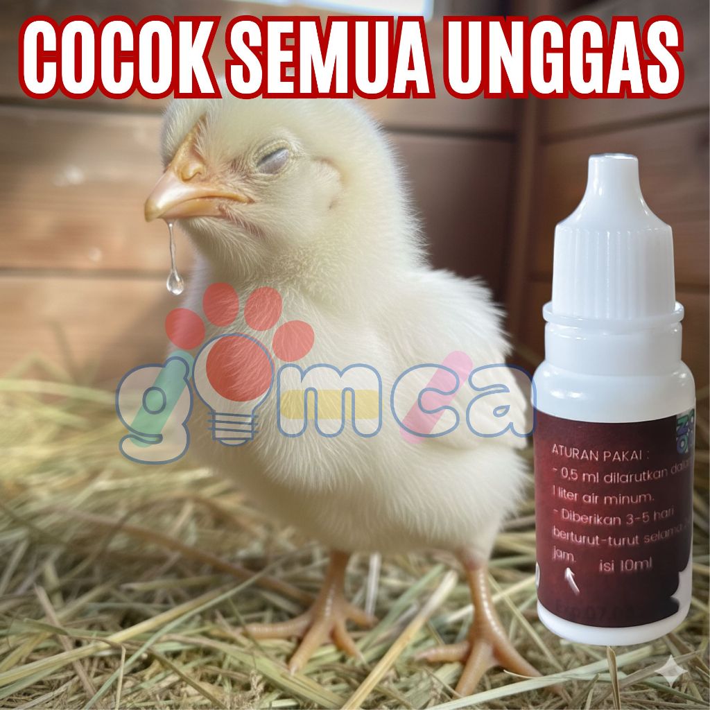 anti snot snot pro cdr kolera Mata Berair Unggas Manjur: Atasi Snot, CRD, Pilek & pada Ayam, Bebek, 