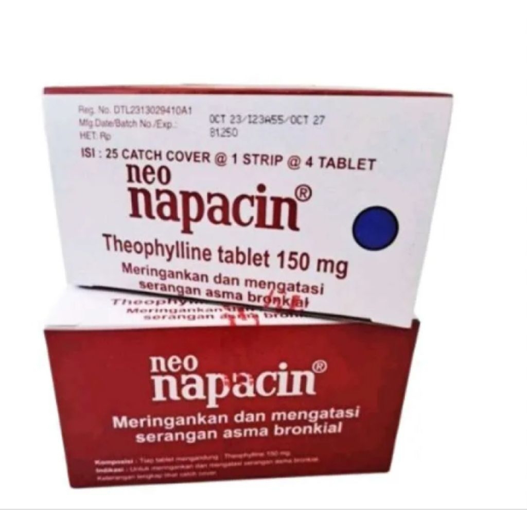 NEO NAPACIN BOX ISI 100 TABLET