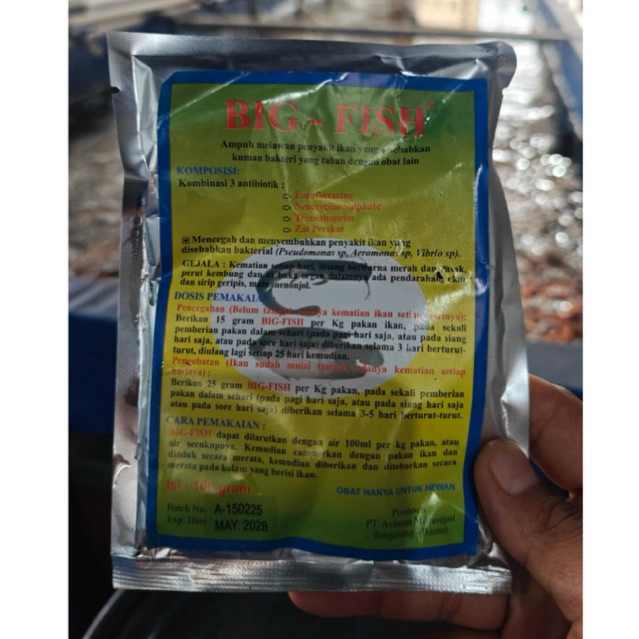 Obat ikan Big Fish