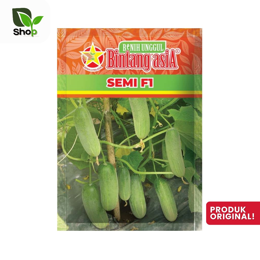 Benih Bibit Timun Semi F1 20gram