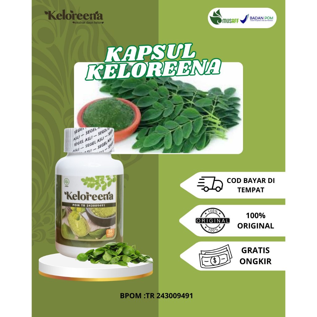 Kapsul Daun Kelor Keloreena 100% Original BPOM
