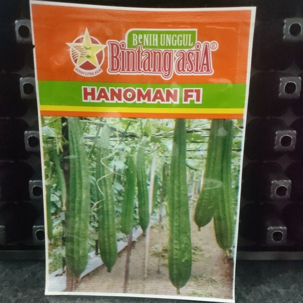 Benih Gambas/Oyong Hijau Hibrida Hanoman F1 Bintang Asia