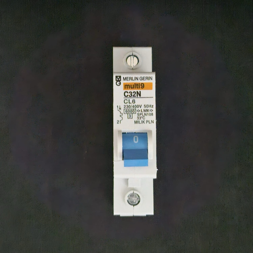 MCB Termis Merlin Gerin MG Biru Multi9 CL6 6A 6 Ampere