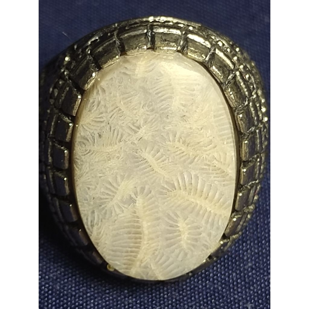 Natural Agatized Coral, WHITE / Batu Teratai, PUTIH, LIPAN